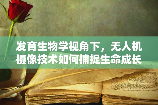 发育生物学视角下，无人机摄像技术如何捕捉生命成长的微妙瞬间？