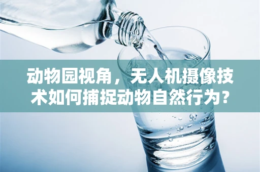 动物园视角，无人机摄像技术如何捕捉动物自然行为？