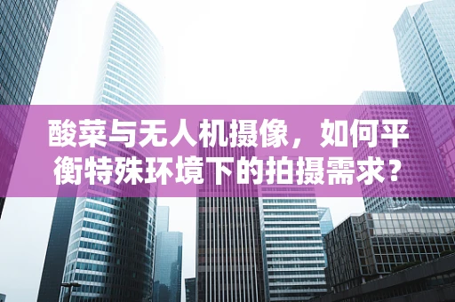 酸菜与无人机摄像，如何平衡特殊环境下的拍摄需求？