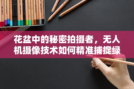 花盆中的秘密拍摄者，无人机摄像技术如何精准捕捉绿植生长细节？