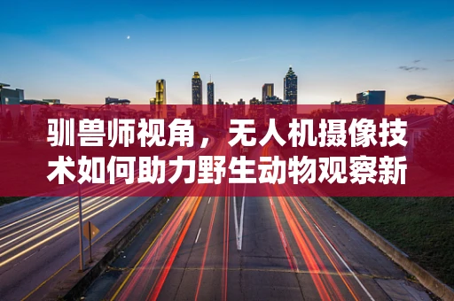 驯兽师视角，无人机摄像技术如何助力野生动物观察新纪元？