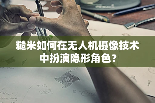 糙米如何在无人机摄像技术中扮演隐形角色？