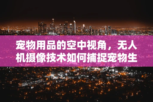 宠物用品的空中视角，无人机摄像技术如何捕捉宠物生活的温馨瞬间？