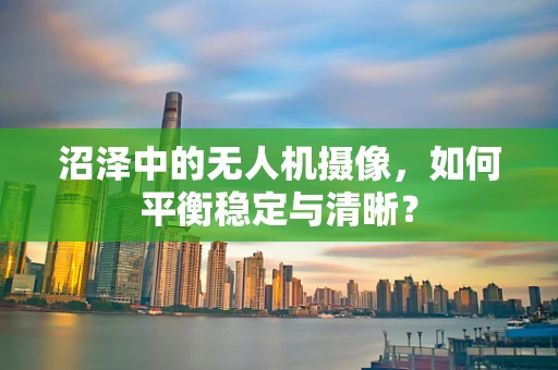 沼泽中的无人机摄像，如何平衡稳定与清晰？