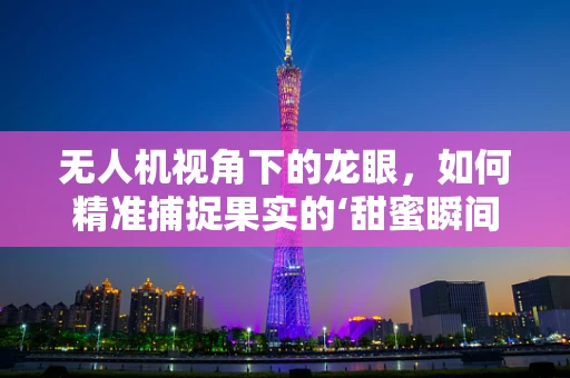 无人机视角下的龙眼，如何精准捕捉果实的‘甜蜜瞬间’？