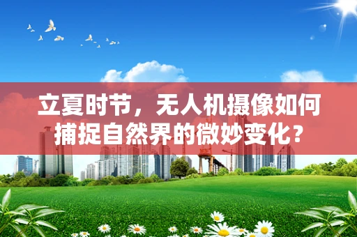 立夏时节，无人机摄像如何捕捉自然界的微妙变化？