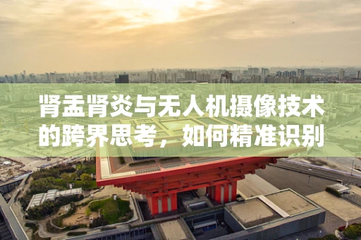 肾盂肾炎与无人机摄像技术的跨界思考，如何精准识别患者病情的空中视角？