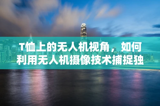 T恤上的无人机视角，如何利用无人机摄像技术捕捉独特视角？