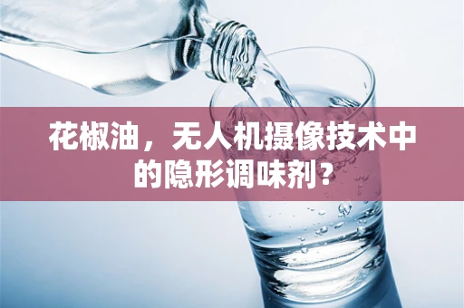 花椒油，无人机摄像技术中的隐形调味剂？