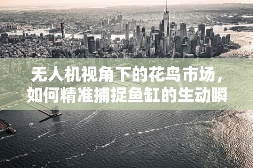无人机视角下的花鸟市场，如何精准捕捉鱼缸的生动瞬间？