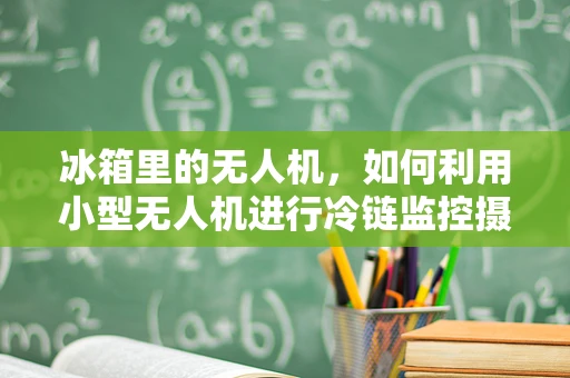 冰箱里的无人机，如何利用小型无人机进行冷链监控摄像？
