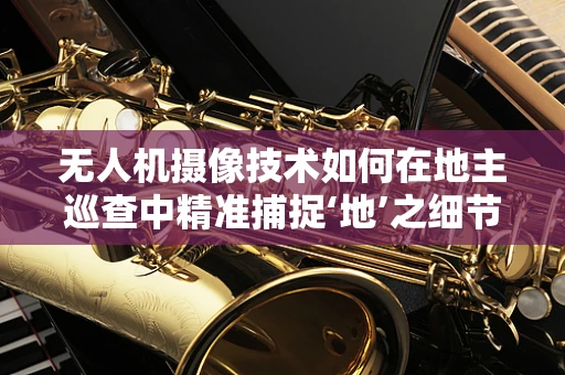 无人机摄像技术如何在地主巡查中精准捕捉‘地’之细节？