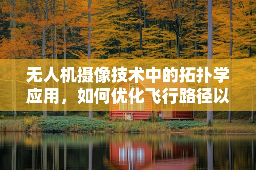 无人机摄像技术中的拓扑学应用，如何优化飞行路径以提升图像采集质量？