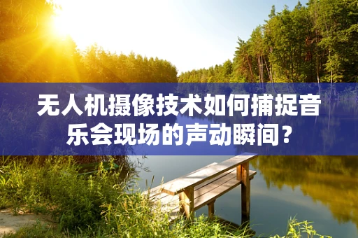 无人机摄像技术如何捕捉音乐会现场的声动瞬间？