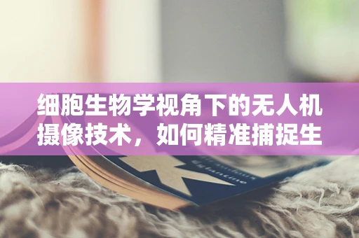 细胞生物学视角下的无人机摄像技术，如何精准捕捉生命之微？