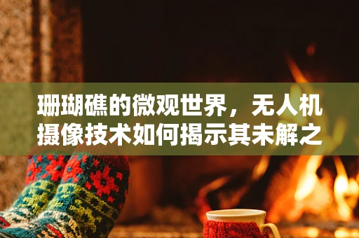 珊瑚礁的微观世界，无人机摄像技术如何揭示其未解之谜？