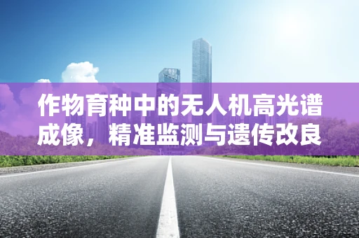 作物育种中的无人机高光谱成像，精准监测与遗传改良的新视角？