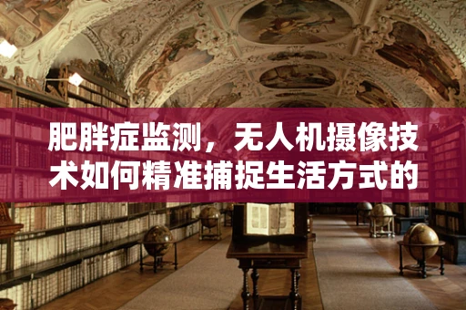 肥胖症监测，无人机摄像技术如何精准捕捉生活方式的‘隐形杀手’？