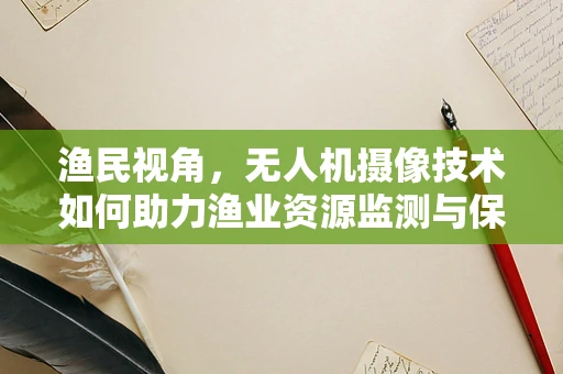 渔民视角，无人机摄像技术如何助力渔业资源监测与保护？