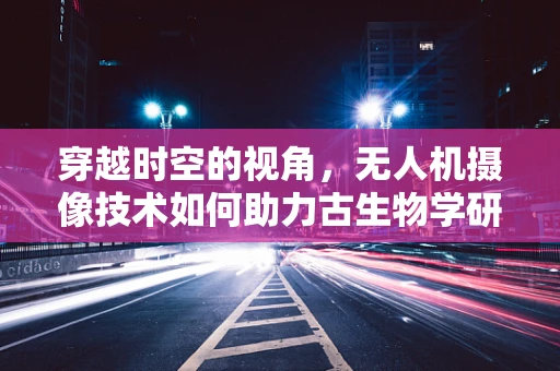 穿越时空的视角，无人机摄像技术如何助力古生物学研究？