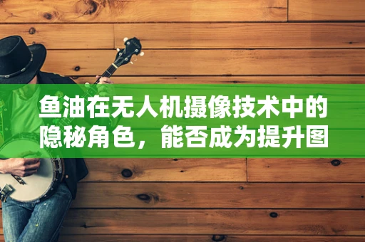 鱼油在无人机摄像技术中的隐秘角色，能否成为提升图像清晰度的创新之选？