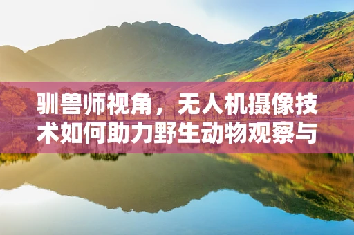 驯兽师视角，无人机摄像技术如何助力野生动物观察与保护？