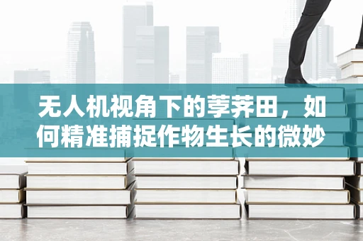 无人机视角下的荸荠田，如何精准捕捉作物生长的微妙变化？