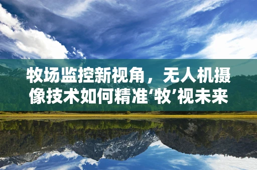牧场监控新视角，无人机摄像技术如何精准‘牧’视未来？