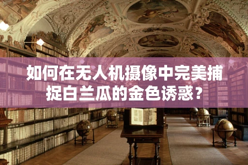 如何在无人机摄像中完美捕捉白兰瓜的金色诱惑？