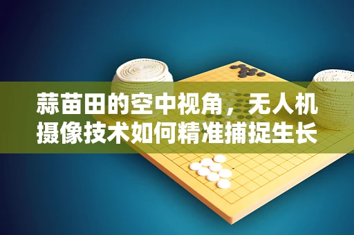 蒜苗田的空中视角，无人机摄像技术如何精准捕捉生长细节？