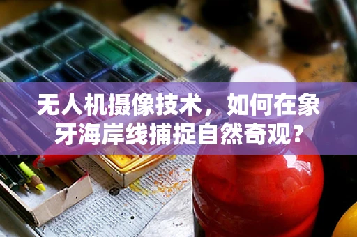 无人机摄像技术，如何在象牙海岸线捕捉自然奇观？