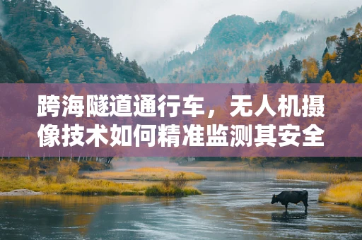 跨海隧道通行车，无人机摄像技术如何精准监测其安全通行？