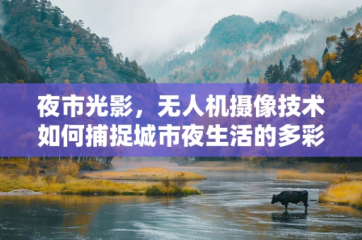 夜市光影，无人机摄像技术如何捕捉城市夜生活的多彩瞬间？