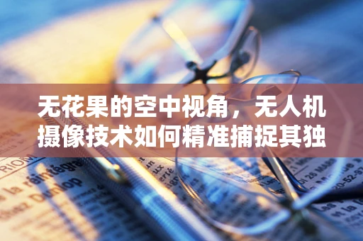 无花果的空中视角，无人机摄像技术如何精准捕捉其独特魅力？