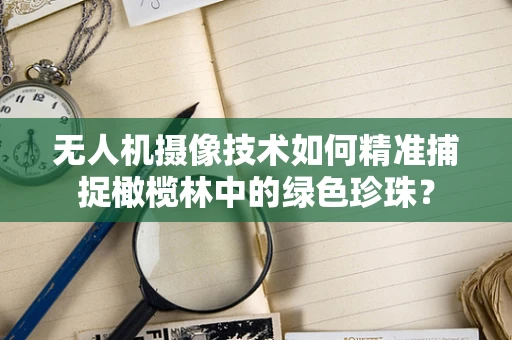 无人机摄像技术如何精准捕捉橄榄林中的绿色珍珠？