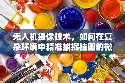 无人机摄像技术，如何在复杂环境中精准捕捉桂圆的微妙细节？