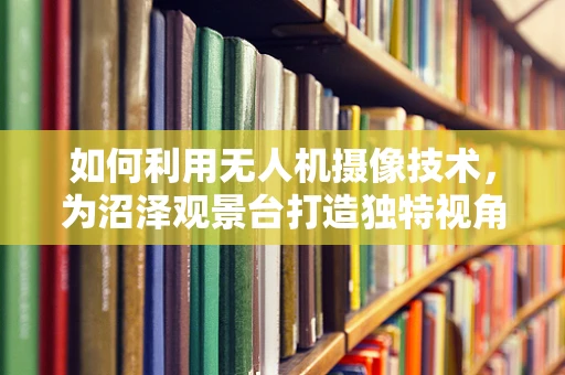 如何利用无人机摄像技术，为沼泽观景台打造独特视角？