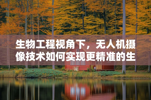 生物工程视角下，无人机摄像技术如何实现更精准的生物监测？