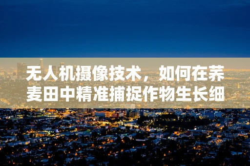 无人机摄像技术，如何在荞麦田中精准捕捉作物生长细节？