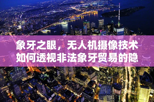 象牙之眼，无人机摄像技术如何透视非法象牙贸易的隐秘？