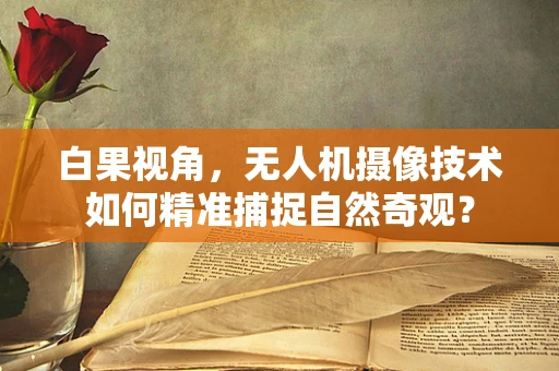 白果视角，无人机摄像技术如何精准捕捉自然奇观？