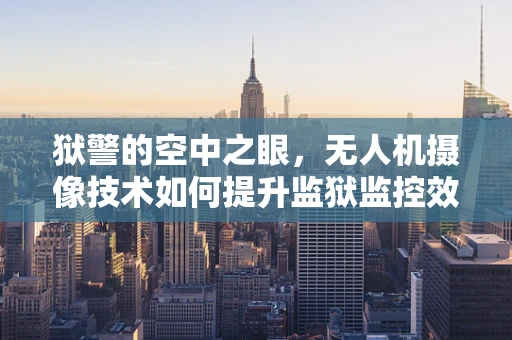 狱警的空中之眼，无人机摄像技术如何提升监狱监控效率？