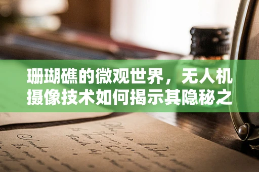 珊瑚礁的微观世界，无人机摄像技术如何揭示其隐秘之美？