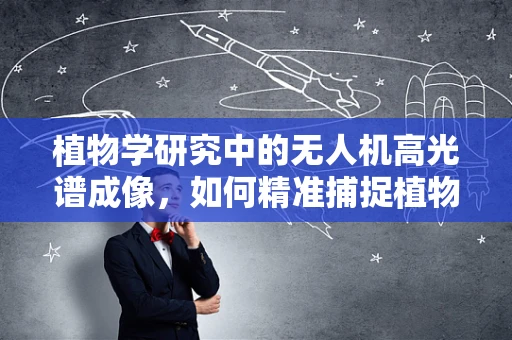 植物学研究中的无人机高光谱成像，如何精准捕捉植物生理状态？