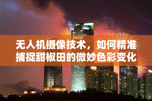 无人机摄像技术，如何精准捕捉甜椒田的微妙色彩变化？