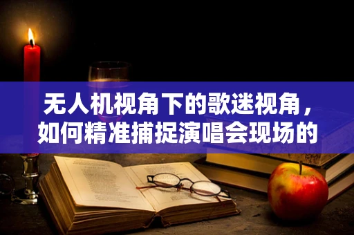 无人机视角下的歌迷视角，如何精准捕捉演唱会现场的独特魅力？