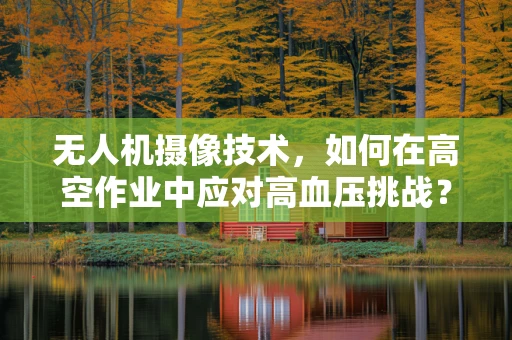 无人机摄像技术，如何在高空作业中应对高血压挑战？