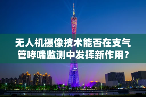无人机摄像技术能否在支气管哮喘监测中发挥新作用？