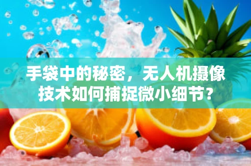 手袋中的秘密，无人机摄像技术如何捕捉微小细节？
