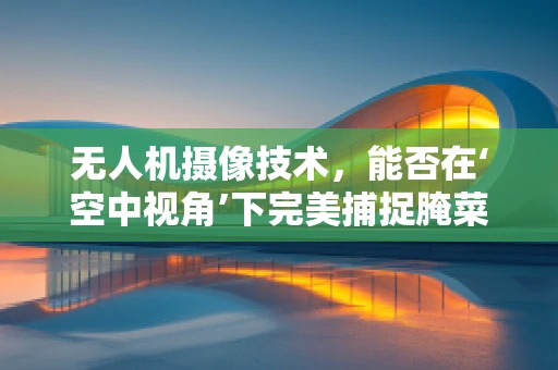 无人机摄像技术，能否在‘空中视角’下完美捕捉腌菜制作的艺术？